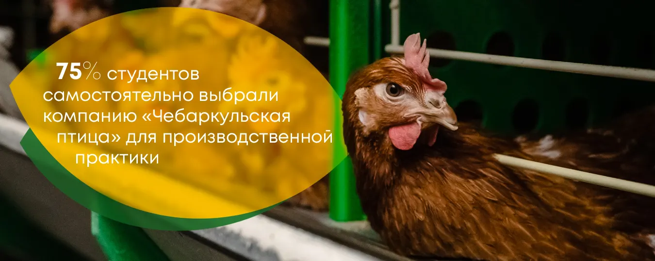 Студентам в ООО Чебаркульская птица