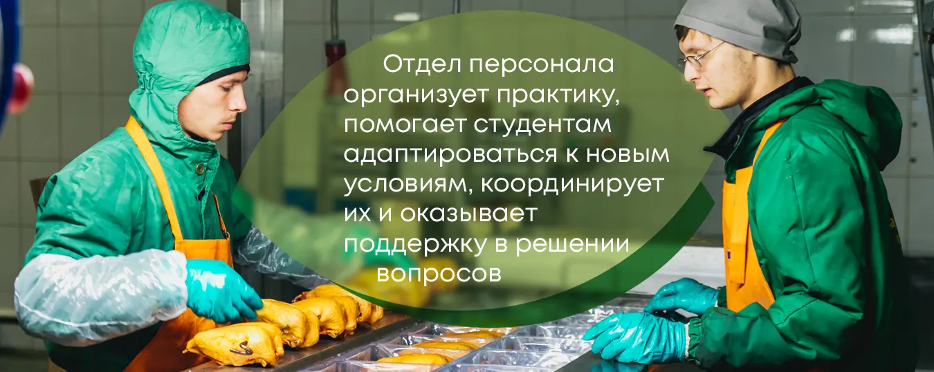 Студентам в ООО Чебаркульская птица