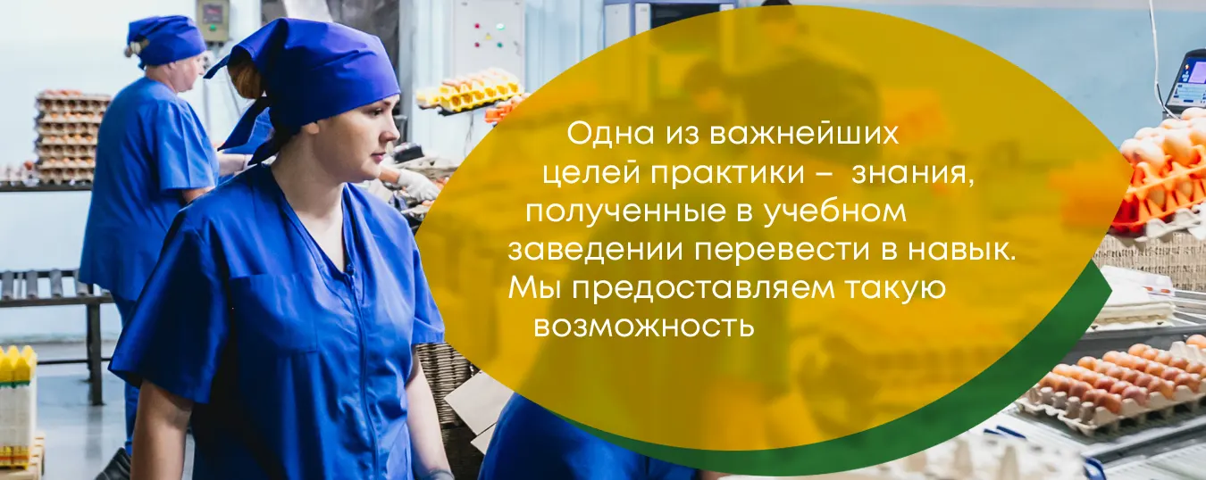 Студентам в ООО Чебаркульская птица